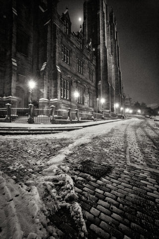 Edinburgh - New College cobbles II