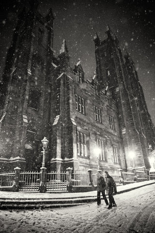 Edinburgh - New College couple