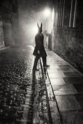 Street Hare